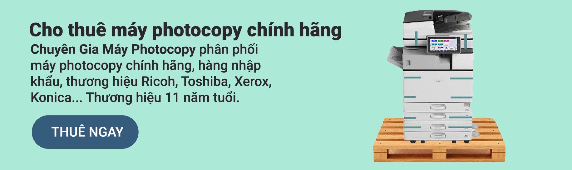 before-footer-banner